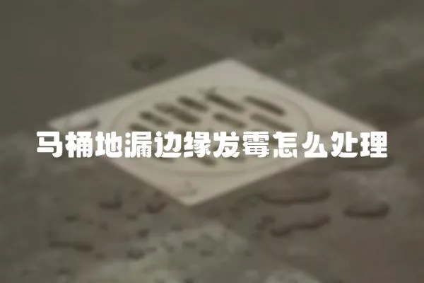 馬桶地漏邊緣發霉怎么處理