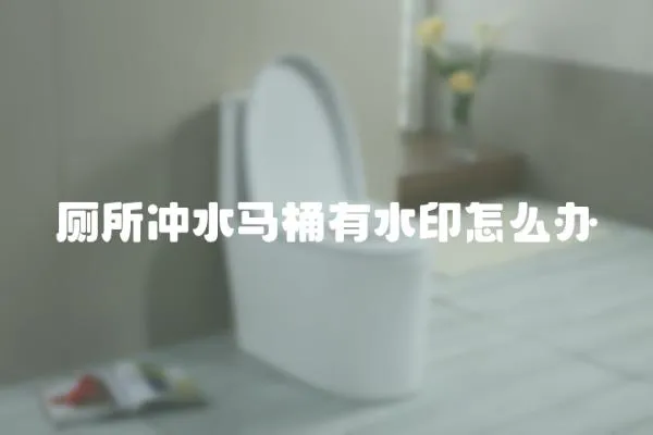 廁所沖水馬桶有水印怎么辦