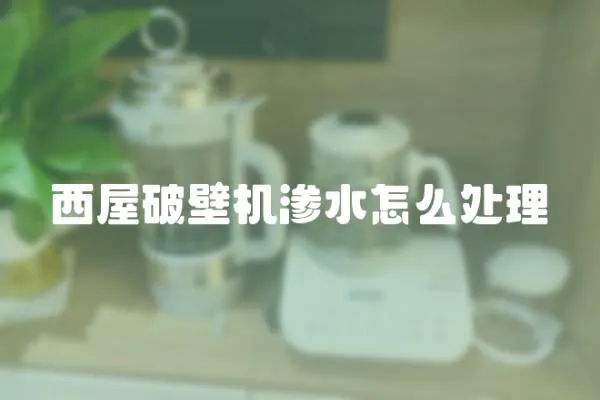 西屋破壁機滲水怎么處理