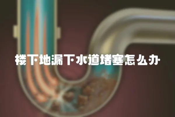 樓下地漏下水道堵塞怎么辦