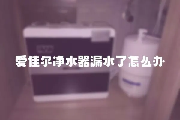 愛佳爾凈水器漏水了怎么辦