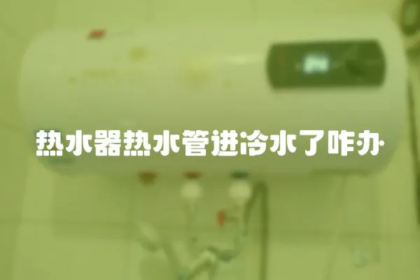 熱水器熱水管進冷水了咋辦