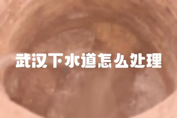 武漢下水道怎么處理
