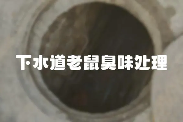 下水道老鼠臭味處理