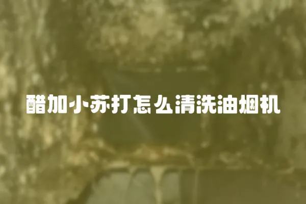 醋加小蘇打怎么清洗油煙機
