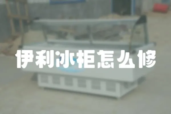伊利冰柜怎么修