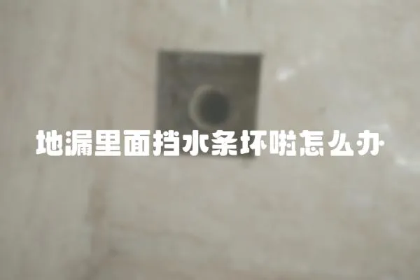 地漏里面擋水條壞啦怎么辦