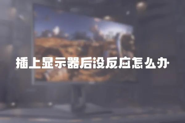 插上顯示器后沒反應怎么辦