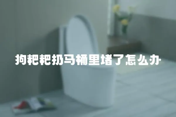 狗粑粑扔馬桶里堵了怎么辦