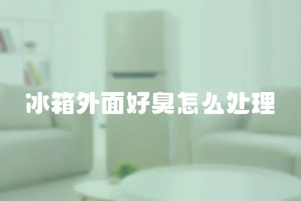 冰箱外面好臭怎么处理