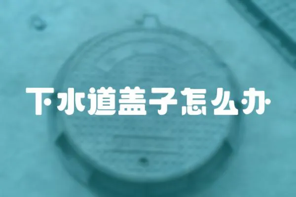 下水道蓋子怎么辦