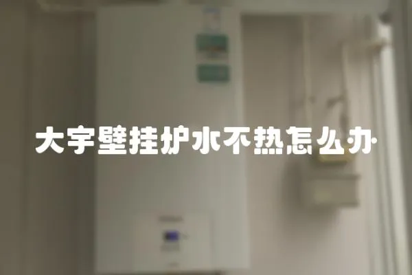 大宇壁掛爐水不熱怎么辦