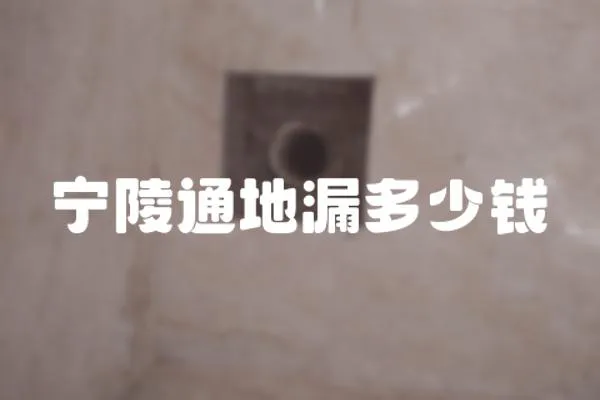 寧陵通地漏多少錢