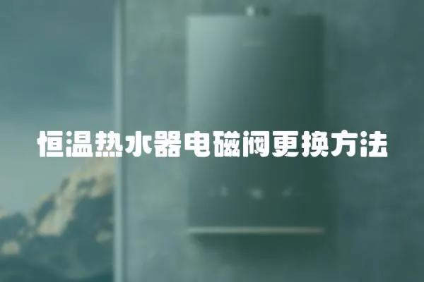 恒溫?zé)崴麟姶砰y更換方法