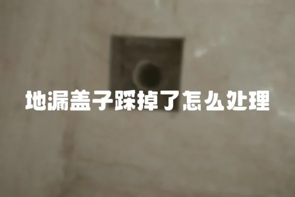 地漏蓋子踩掉了怎么處理