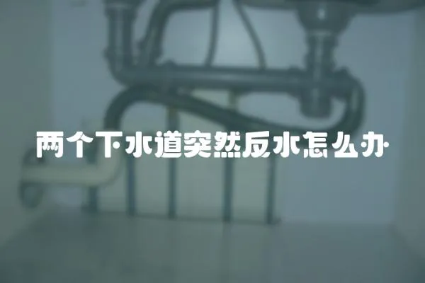 兩個(gè)下水道突然反水怎么辦