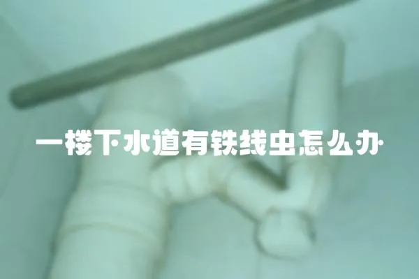 一樓下水道有鐵線蟲怎么辦