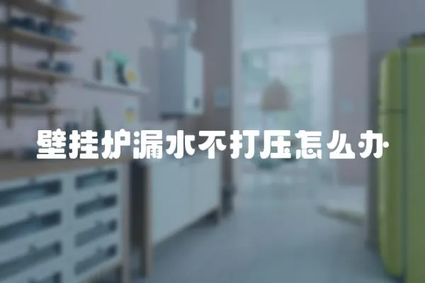 壁掛爐漏水不打壓怎么辦