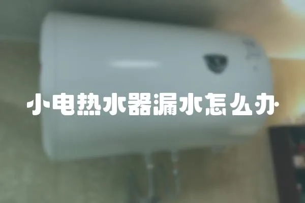 小電熱水器漏水怎么辦