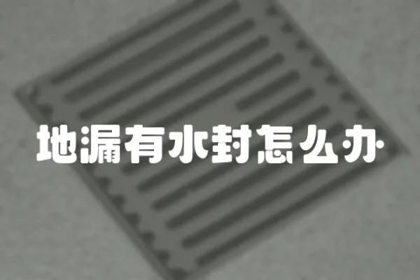 地漏有水封怎么辦