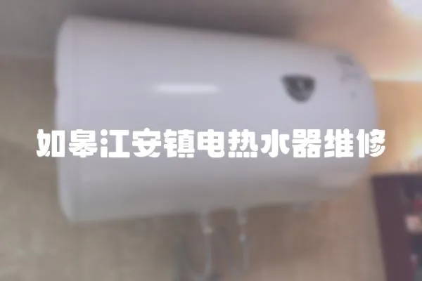 如皋江安鎮電熱水器維修