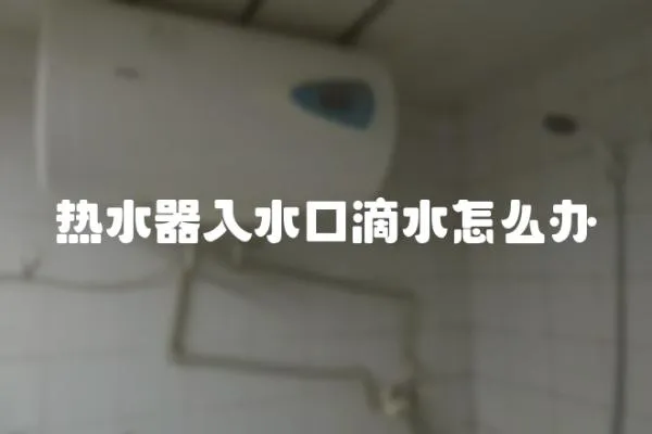 熱水器入水口滴水怎么辦
