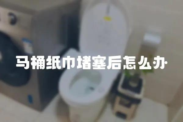 馬桶紙巾堵塞后怎么辦