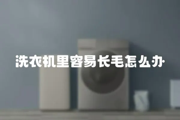 洗衣機里容易長毛怎么辦