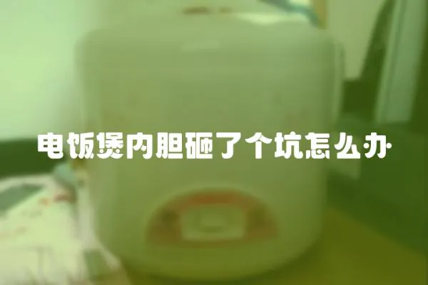 電飯煲內膽砸了個坑怎么辦