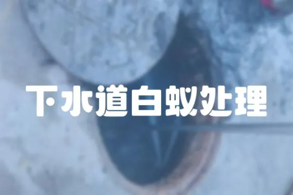 下水道白蟻處理