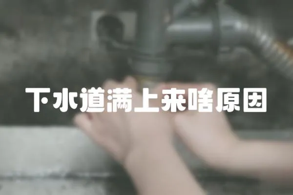 下水道滿上來啥原因