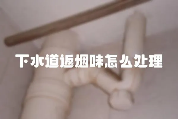 下水道返煙味怎么處理