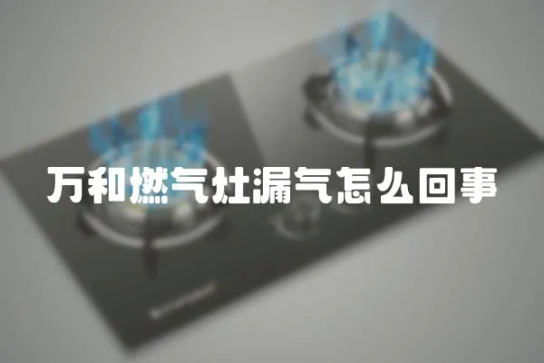 萬和燃氣灶漏氣怎么回事
