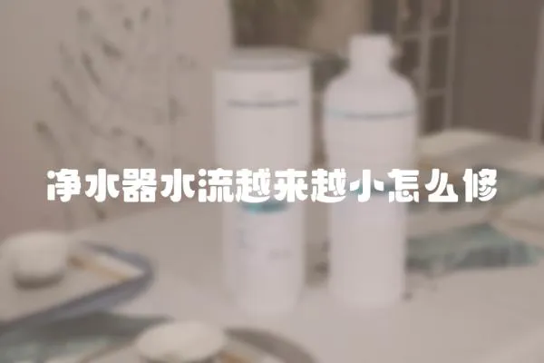 凈水器水流越來越小怎么修