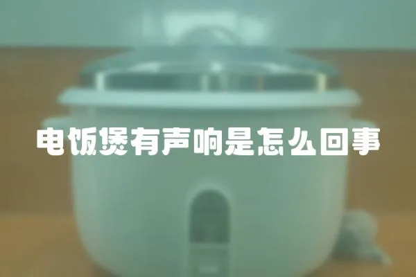 電飯煲有聲響是怎么回事