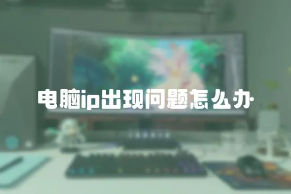電腦ip出現問題怎么辦