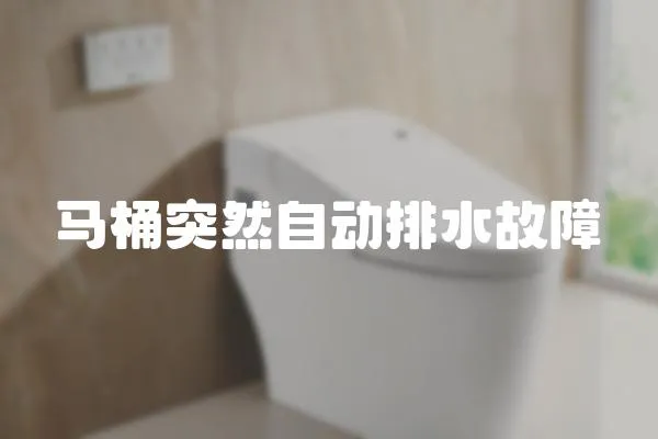 馬桶突然自動排水故障