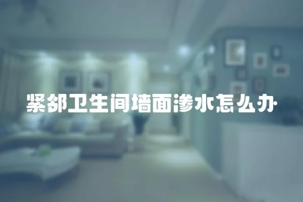 緊鄰衛(wèi)生間墻面滲水怎么辦