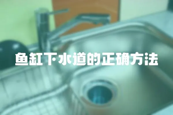 魚缸下水道的正確方法