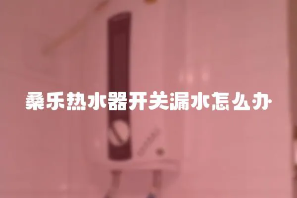 桑樂熱水器開關漏水怎么辦