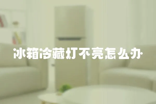 冰箱冷藏燈不亮怎么辦