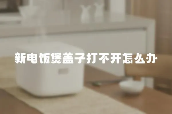 新電飯煲蓋子打不開怎么辦