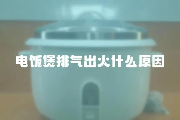 電飯煲排氣出火什么原因