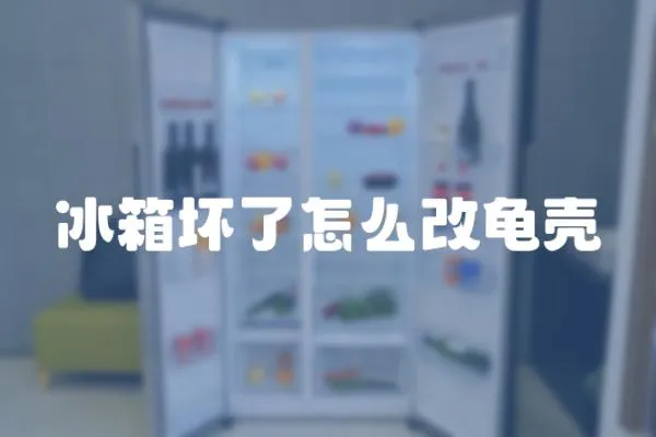 冰箱壞了怎么改龜殼
