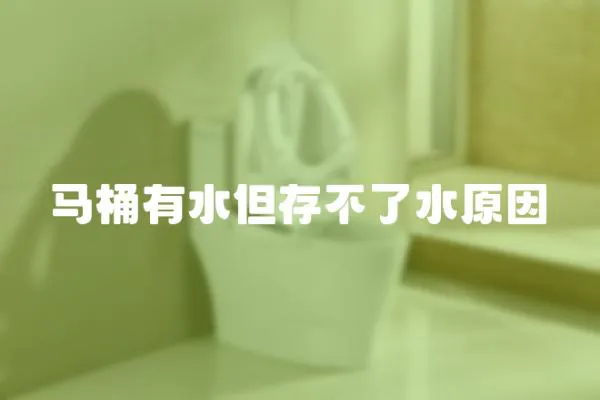馬桶有水但存不了水原因