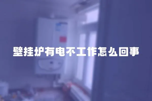 壁掛爐有電不工作怎么回事