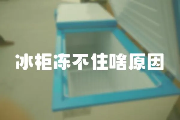 冰柜凍不住啥原因