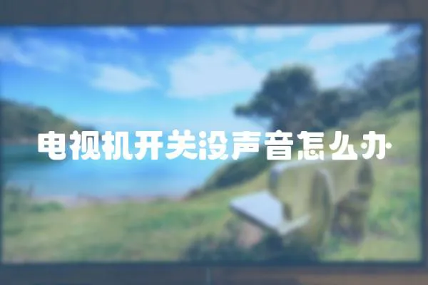 電視機開關沒聲音怎么辦