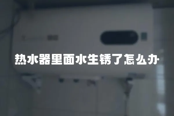 熱水器里面水生銹了怎么辦