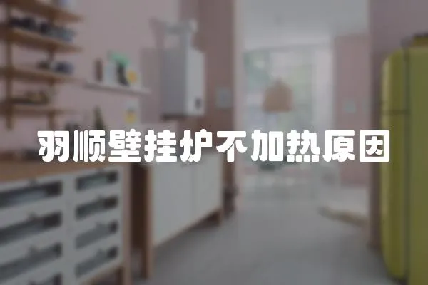 羽順壁掛爐不加熱原因